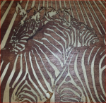 Zebra.JPG